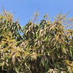 WhatsApp Image 2026-02-17 at 18.51.41