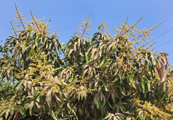 WhatsApp Image 2026-02-17 at 18.51.41