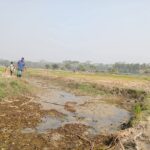 WhatsApp Image 2026-02-18 at 14.35.28