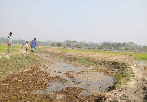 WhatsApp Image 2026-02-18 at 14.35.28