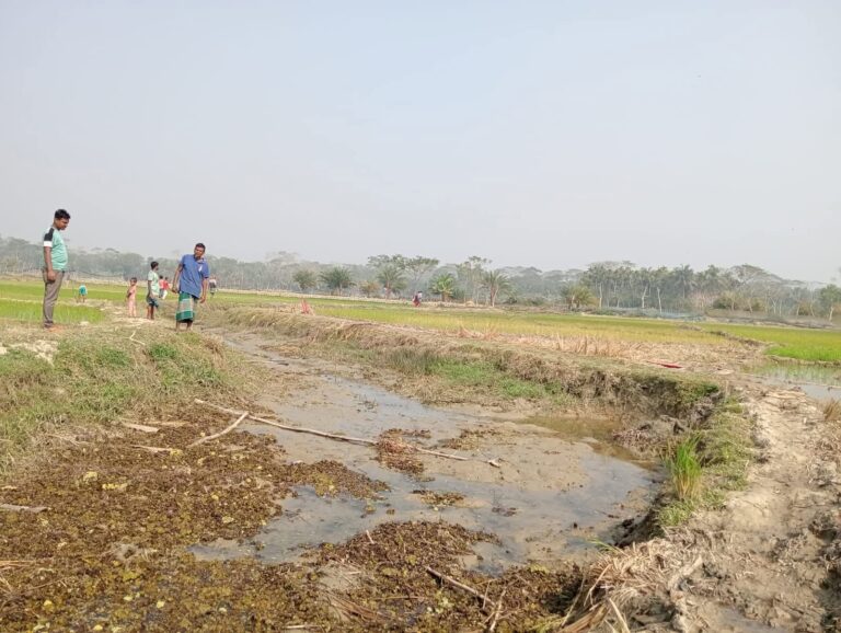 WhatsApp Image 2026-02-18 at 14.35.28