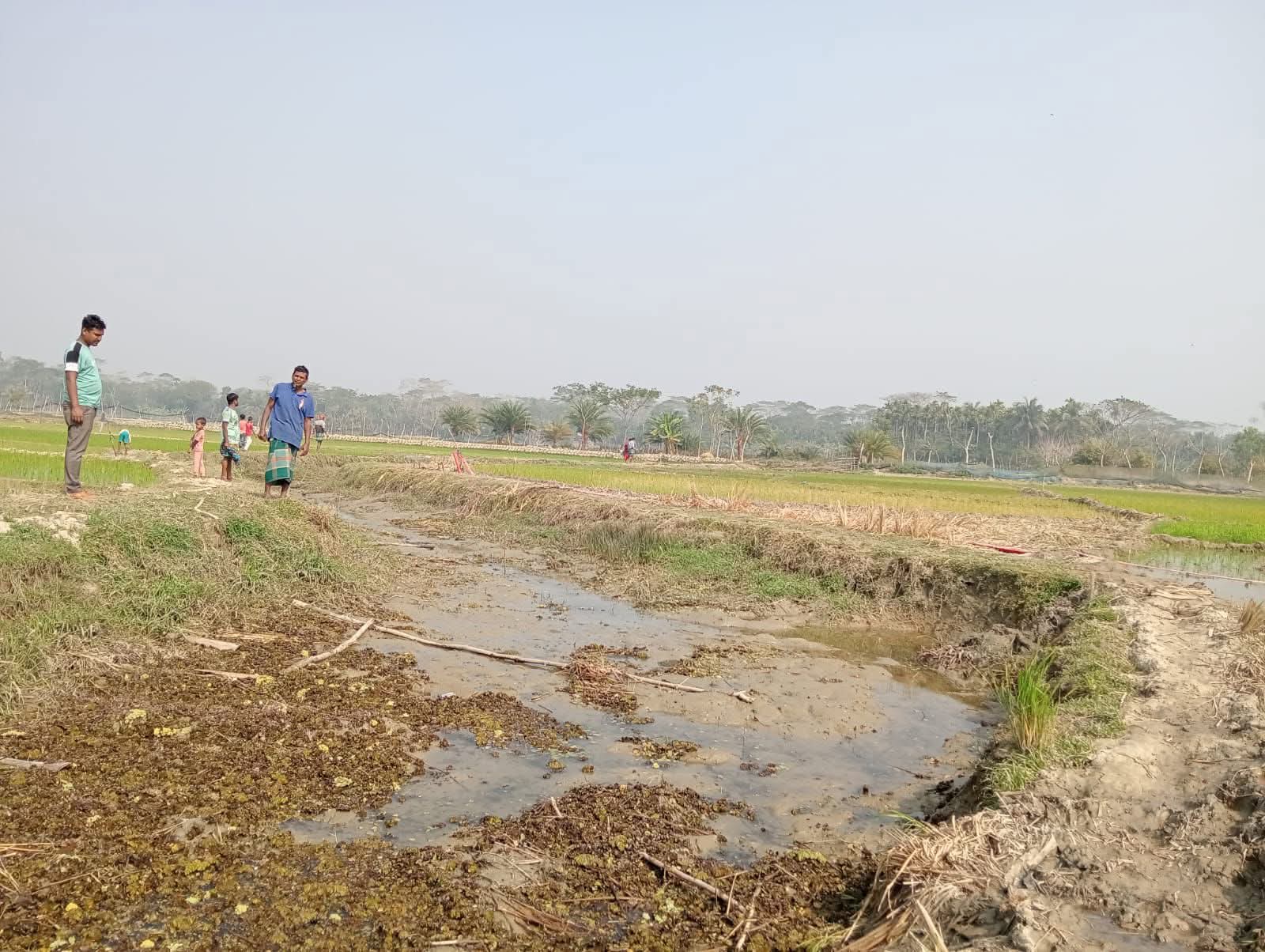 WhatsApp Image 2026-02-18 at 14.35.28