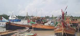 WhatsApp Image 2026-02-19 at 15.36.59