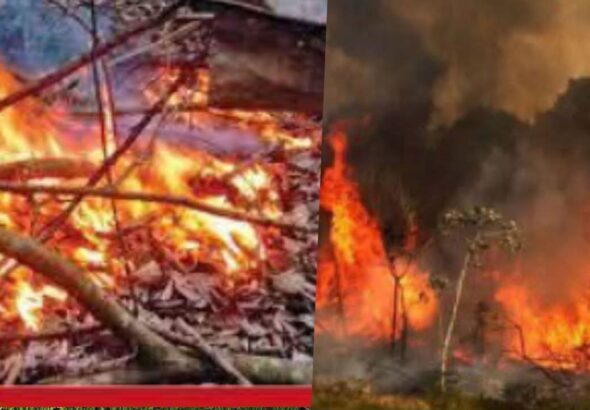 WhatsApp Image 2026-02-27 at 18.18.27