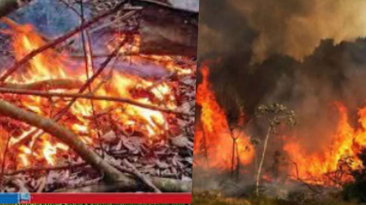 WhatsApp Image 2026-02-27 at 18.18.27