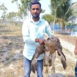 WhatsApp Image 2026-03-07 at 17.12.55