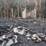 WhatsApp Image 2026-03-08 at 14.47.29