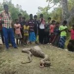 WhatsApp Image 2026-03-10 at 14.28.46