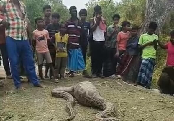 WhatsApp Image 2026-03-10 at 14.28.46