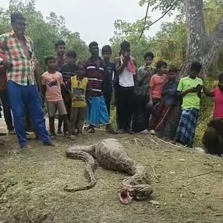 WhatsApp Image 2026-03-10 at 14.28.46