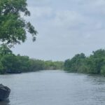 WhatsApp Image 2026-03-19 at 17.17.46