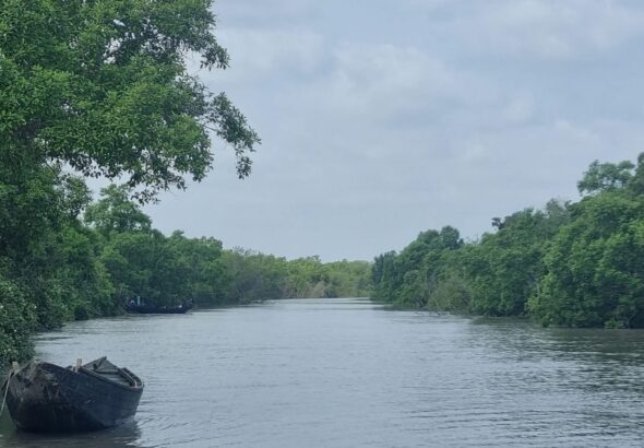 WhatsApp Image 2026-03-19 at 17.17.46