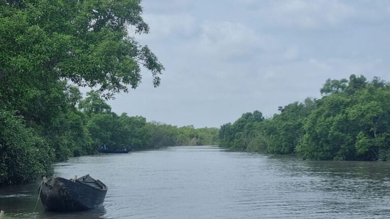 WhatsApp Image 2026-03-19 at 17.17.46