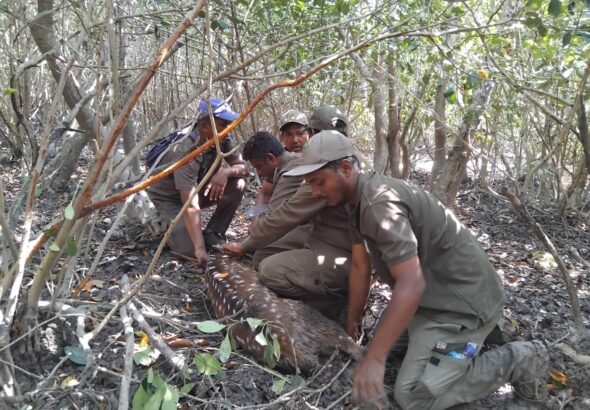 WhatsApp Image 2026-03-24 at 16.35.38