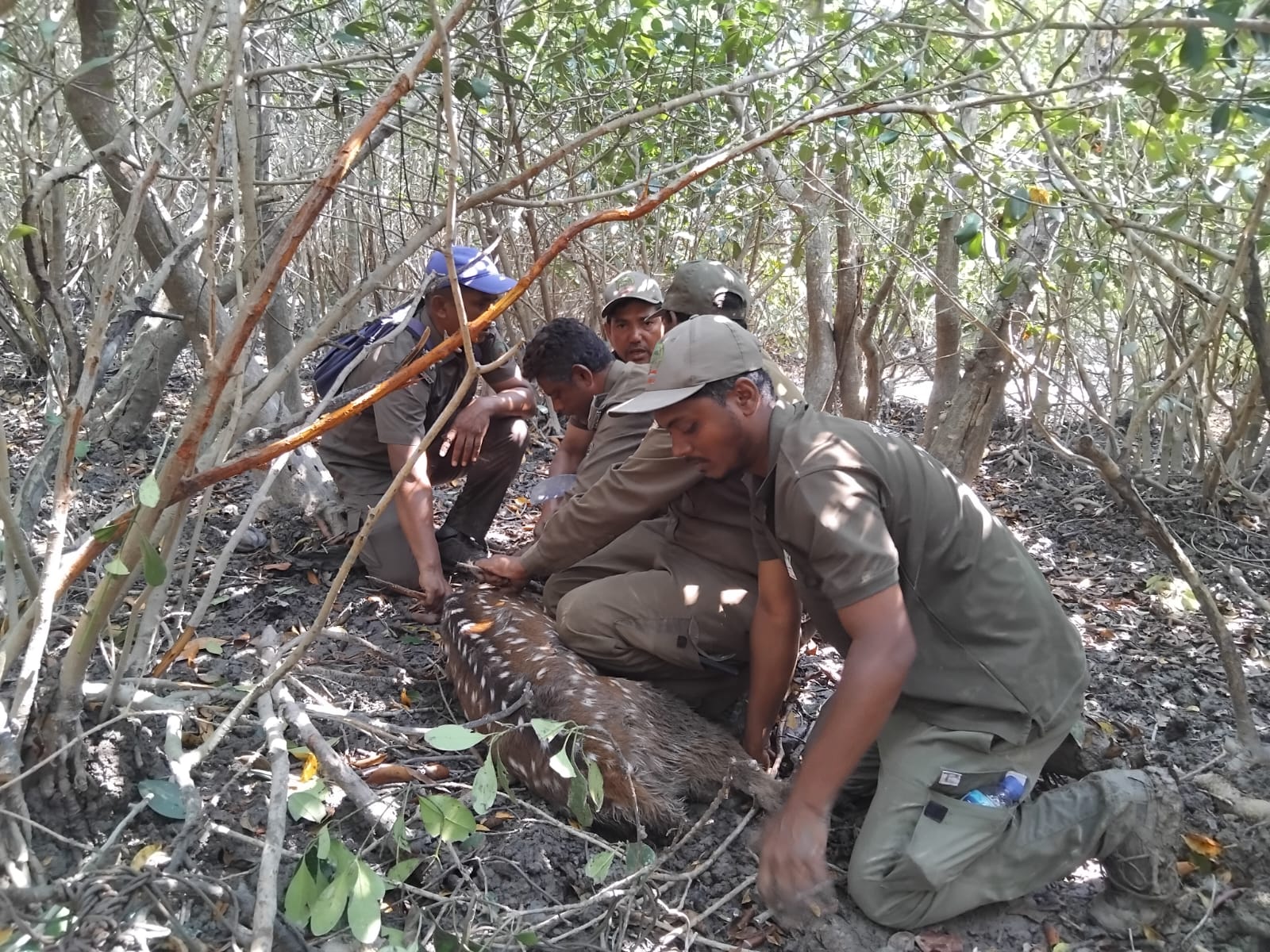 WhatsApp Image 2026-03-24 at 16.35.38